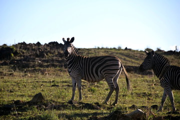 2015-10 Südafrika