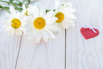 Obraz premium Image with daisies.