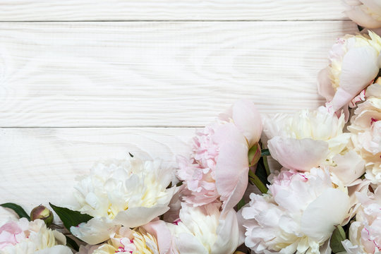 Image with peonies