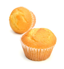 Muffins on white background