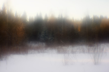 Obraz na płótnie Canvas Winter forest. Northern landscape. Beautiful winter forest at sunset.