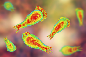 Brain-eating amoeba infection, naegleriasis. Trophozite, infectious form of the parasite Naegleria fowleri, 3D illustration