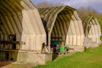 Derelict Farm Building