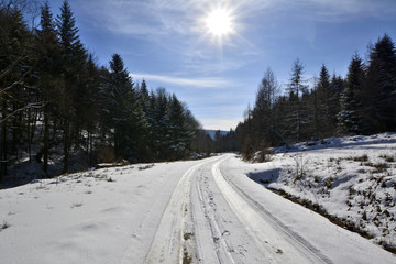 Obraz premium Forest road covered by snow in winter