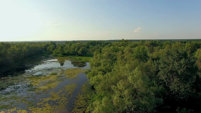 aerial view of river at sunset 4K, river in the evening, Flying over the river green trees at sunset with sun