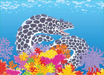 A black and white spotted moray swimming in blue water on a colorful coral reef in a tropical sea, a vector illustration in cartoon style