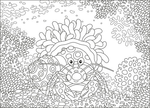 A Diogenes-crab with an actinia on a coral reef in a tropical sea, a black and white vector illustration in cartoon style