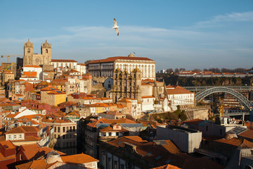 Bird's-eye view old downtown of Porto, Portugal.