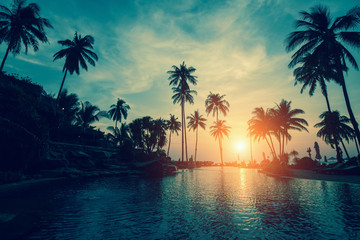 Plakat Tropical sea beach with silhouetted palm trees during sunset.