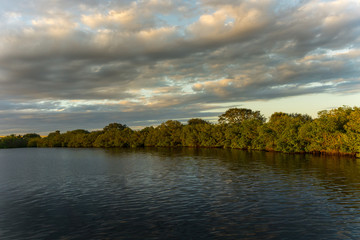 USA, Florida, Sunset light at mangrove forest and lake with cloudy sky