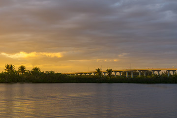 USA, Florida, Warm evening sun light on highway bridge with traffic behind green plants and water