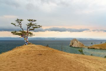 Ritual tree with colorful ribbons Hadak in the overcast. Lake Baikal. Olkhon Island. Russia