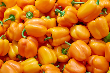 Yellow orange peppers on the market, fresh peppers