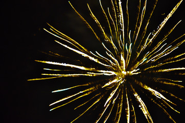 Fireworks explode in the sky on a black background