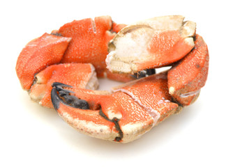 Seafood Crab Claw Isolated on White Background