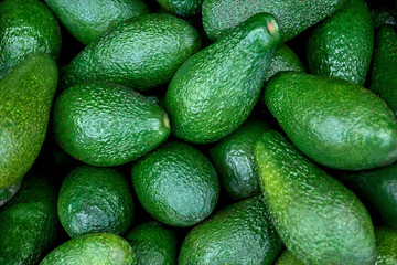 green fresh avocado - obrazy, fototapety, plakaty