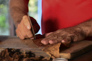 Nahaufnahme von den H&auml;nden die eine Zigarre aus Tabakbl&auml;ttern herstellt,  vinales, kuba