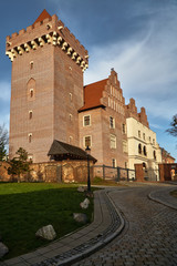 Fototapeta na wymiar paved road to the royal castle in Poznan.