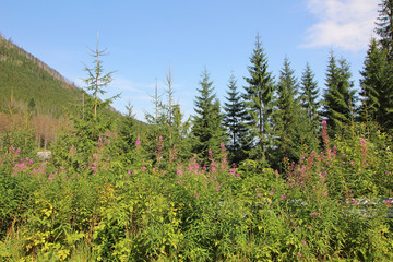 Morskie Oko, Zakopane, Polonia