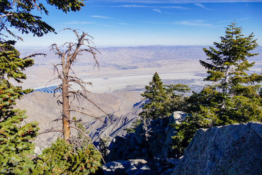 Mt San Jacinto #10