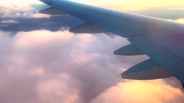 Airplane. Wing of an airplane flying above the clouds with sunset sky. View from the window of the plane. Traveling by air. 4K UHD video