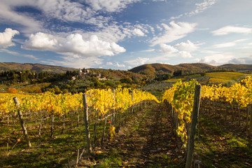 Fototapeta premium Tuscan vineyard landscape with characteristic Church, cypresses, and grapes, Italy