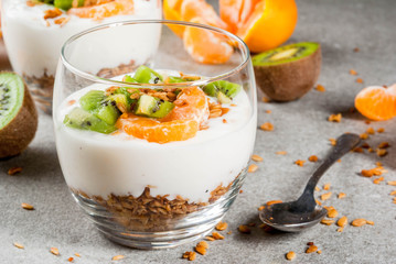 Healthy tangerine and kiwi yogurt granola dessert for breakfast, with ingredients, gray stone table, copy spacerine and kiwi yogurt granola dessert