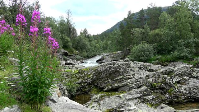 Fluss Rauma, Oppland, Norwegen
