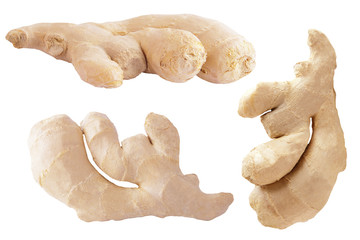 Collection of three ginger root isolated on white