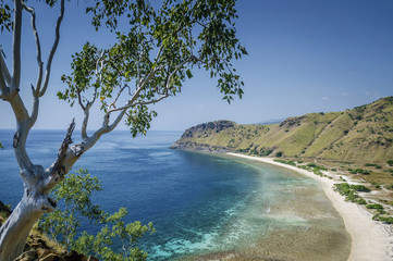 Fototapeta na wymiar coast and beach view near dili in east timor leste