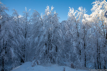 Malghe d'inverno a Piancavallo 