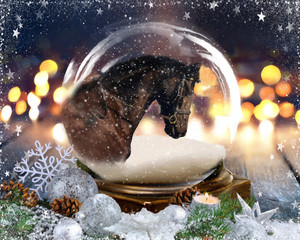 Black Andalusian Horse in Snow Globe