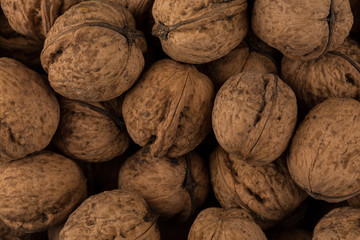 Walnut nut closeup