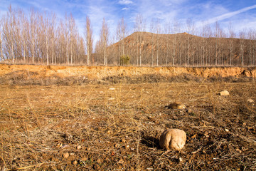 Obraz premium montañas invierno