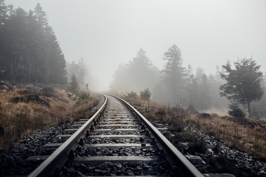 Eisenbahnschienen führen durch eine neblige Landschaft im Harz