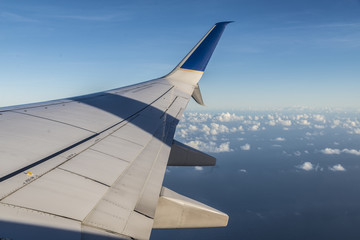 Wing of plane