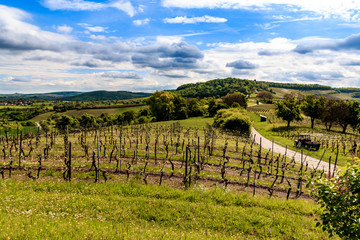 Fototapeta premium Horn im Stromberg