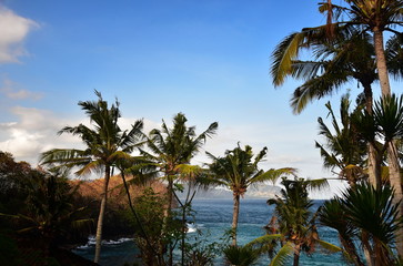 Fototapeta na wymiar Seascape of tropical bay with palms landscape