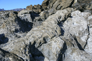 Sea Landscape  in Tenerife . Canary Islands