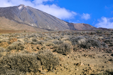 Fototapeta na wymiar Teide mountain in Tenerife. Canary Islands