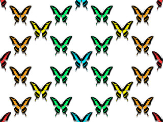 seamless pattern, butterflies of all colors of the rainbow