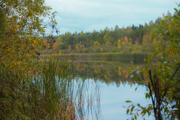 Fototapeta na wymiar Beautiful scenery on the shore of the lake. Beautiful forest pond in Europe.Autumn landscape.