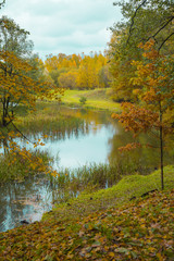 Beautiful scenery on the shore of the lake. Beautiful forest pond in Europe.Autumn landscape.
