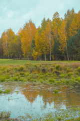 Beautiful scenery on the shore of the lake. Beautiful forest pond in Europe.Autumn landscape.