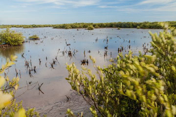 Obraz na płótnie Canvas Marsh area of sea near Trinidad, Cuba