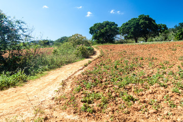 Obraz premium Muddy road near Valle de Ancon village, Cuba