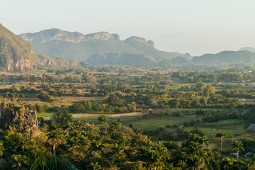 Fototapeta na wymiar Morning view of Vinales valley with mogotes (limestone hills), Cuba
