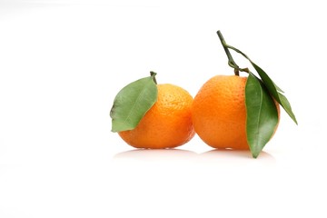 Mandarins with fresh green sprig isolated on white background