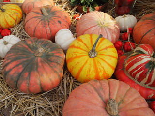 Pumpkins