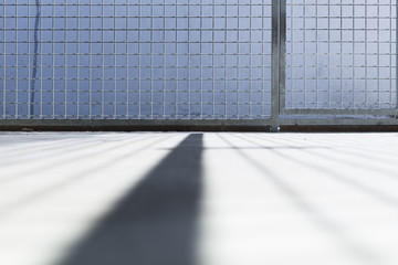 kennel